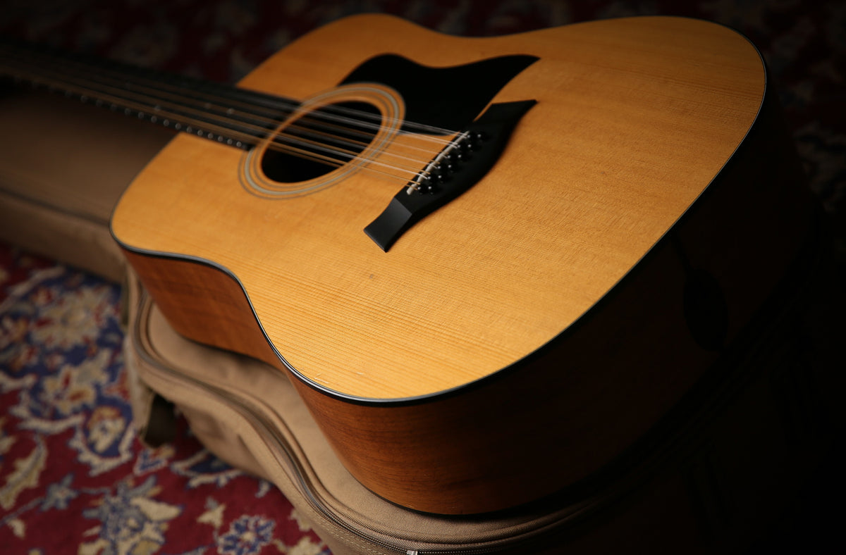 Taylor 150E Dreadnought Natural &amp; Gig Bag