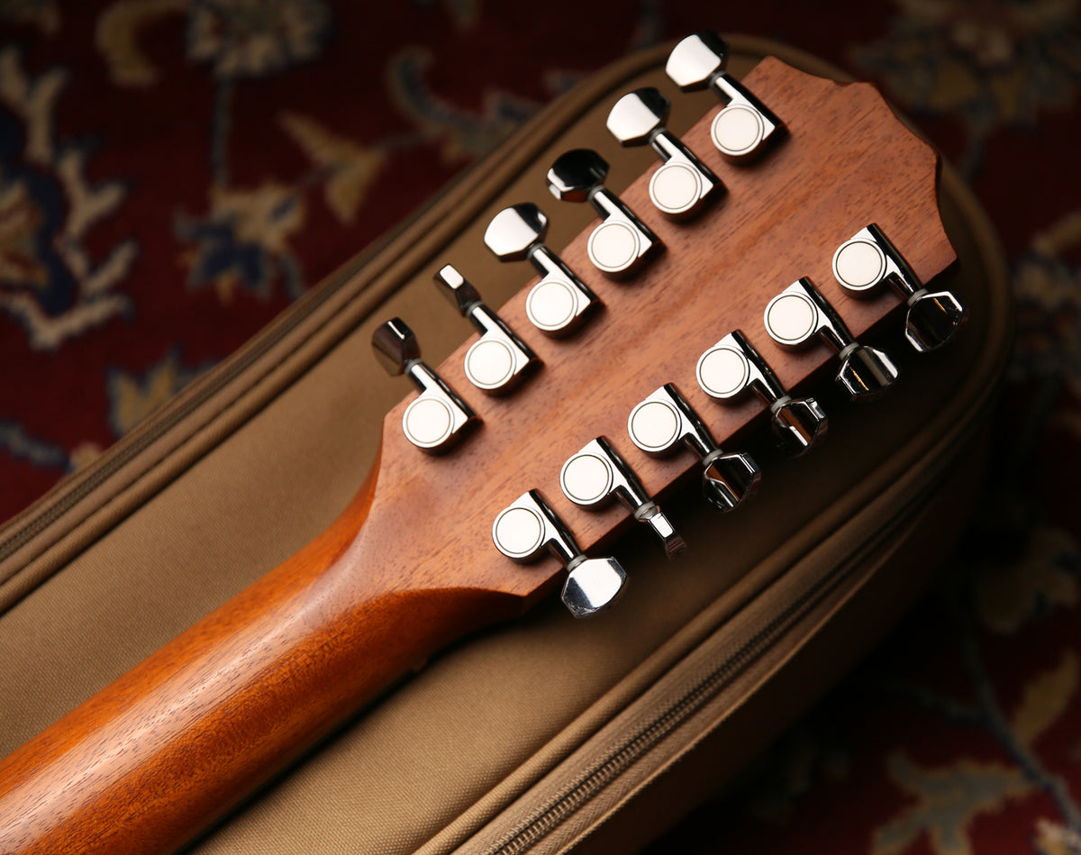 Taylor 150E Dreadnought Natural &amp; Gig Bag